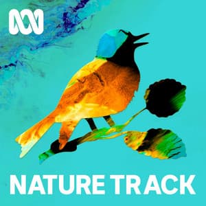 Nature Track