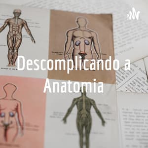 Descomplicando a Anatomia