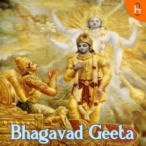 Bhagavad Gita (Hindi)