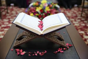 The Quran  (with English Translation)