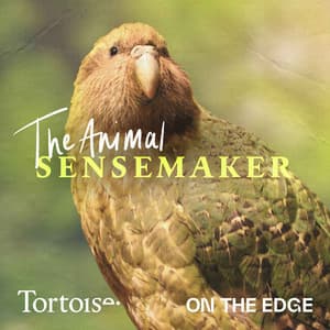 The Animal Sensemaker