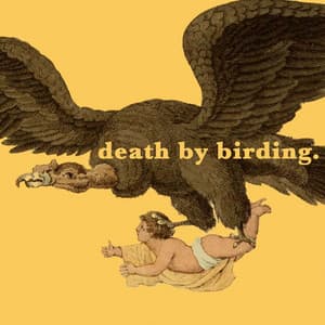 Death by Birding