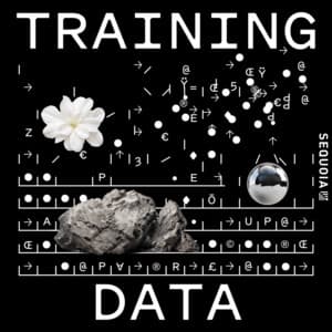 Training Data